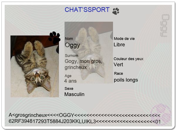 chatsport Oggy