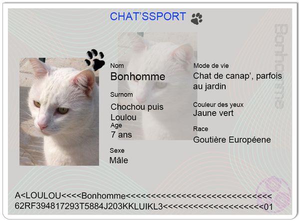 chatsport-Bonhomme.jpg