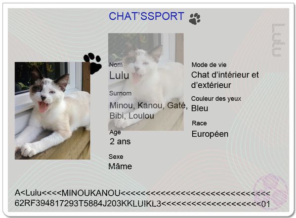 chatsport Lulu-mimieS