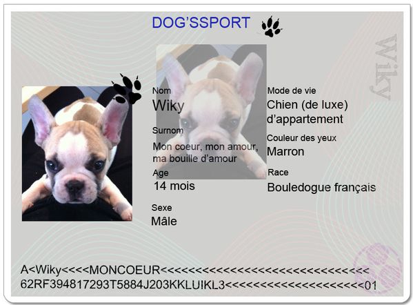 dogssport wiky