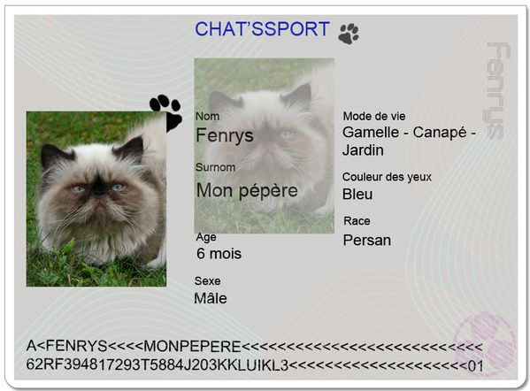 chatpssport-fenrys