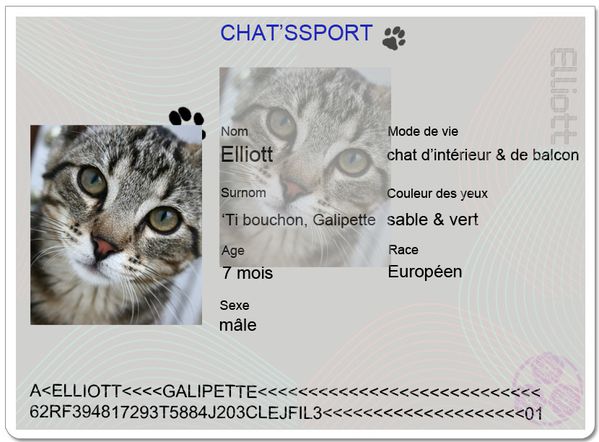 chatsport-Elliott.JPG