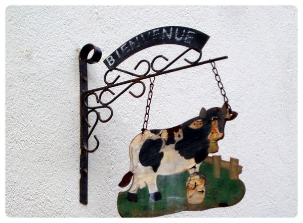 la-Bouille---enseigne-vache.jpg