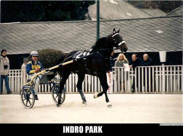 Indro-Park-00.jpg
