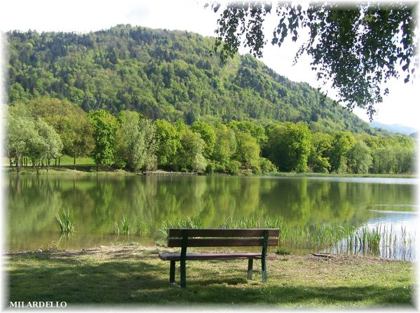rm-pb-lac-st-clair-detrier.jpg