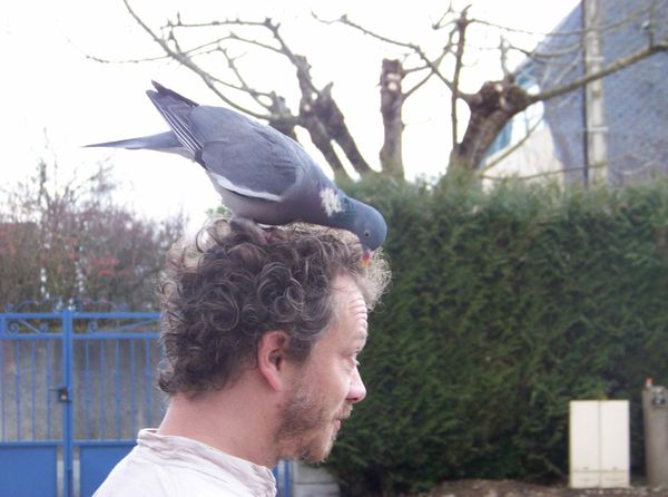 018-Jean-Marie-et-le-pigeon-jpg