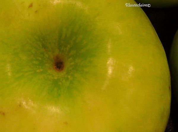 gourmandise3