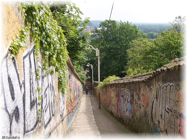 230-n-rm-pb-croix-rousse-passage-et-marches-escalier-joseph.jpg
