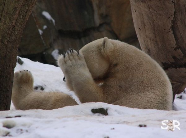 Januar-2010 2892