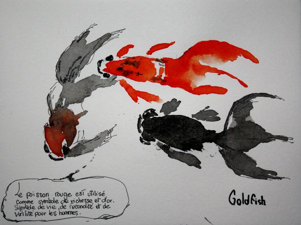 goldfish-600.jpg