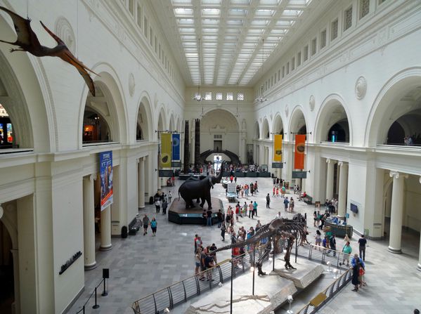 Chicago Museum Field Museum hall d'entrée