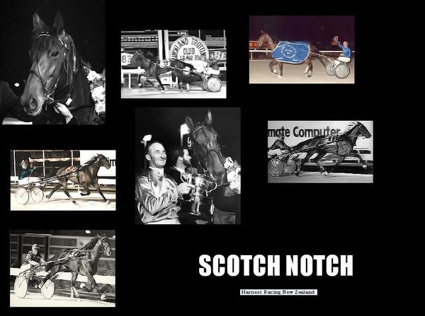 Scotch-Notch--1-1-.jpg