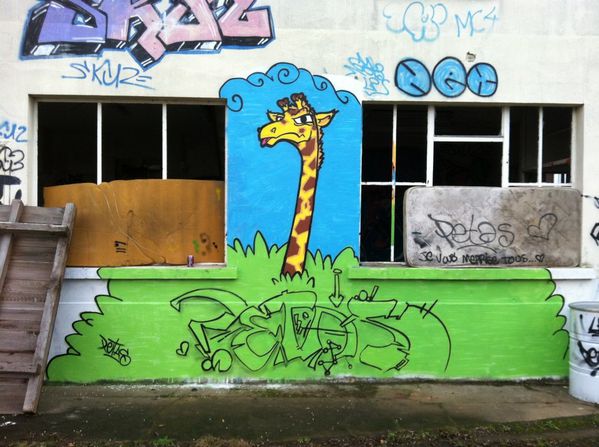 petas-graffiti-graffeur 6