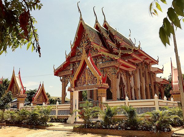Thailande-2011 1300