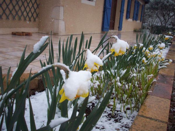 114 Le printemps en hiver 001.