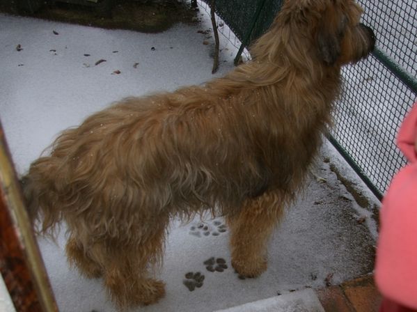 schnee8.jpg