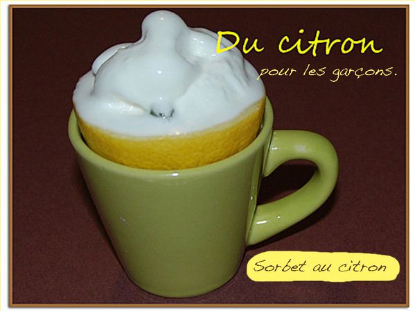 Sorbet-citron.jpg
