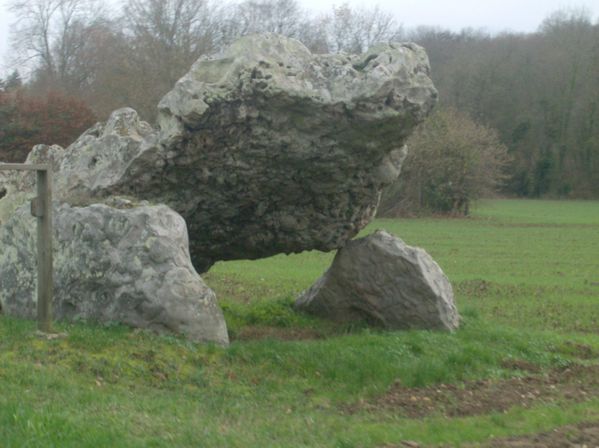 changé la grenouille