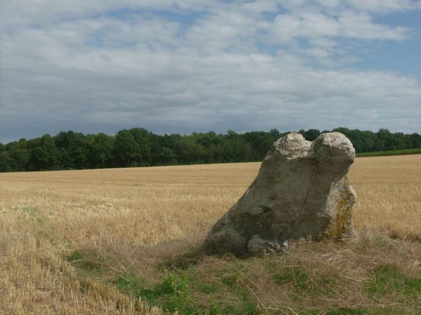 menhir-pierre-coq.jpg