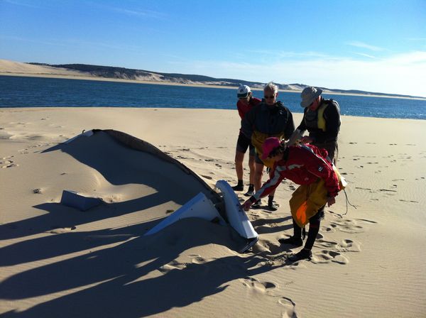 S-2012-11-07-Arguin 2329