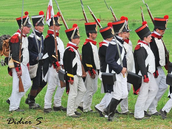Les Grognards ( Didier Simonnet ) N°344