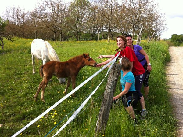 Easy fermetures Fenêtres Alu PVC, Vérandas, Volets