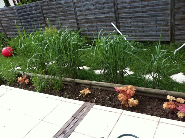 photo(12)