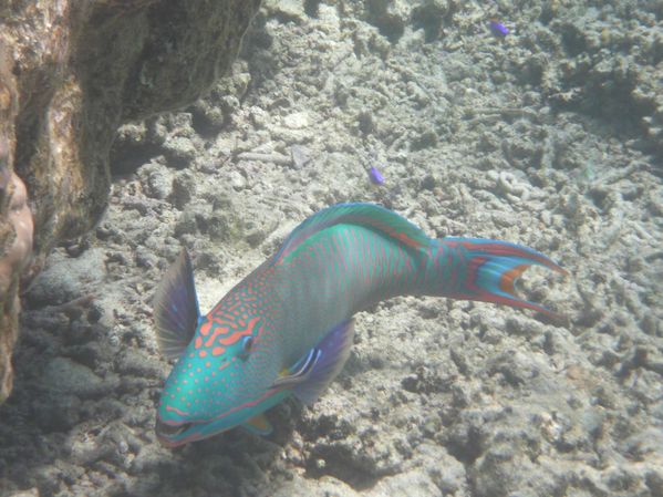 P1140324