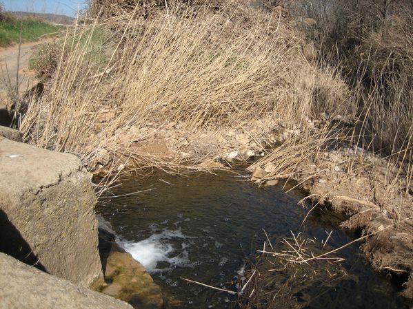 Un ruisseau en sortant de Montséret