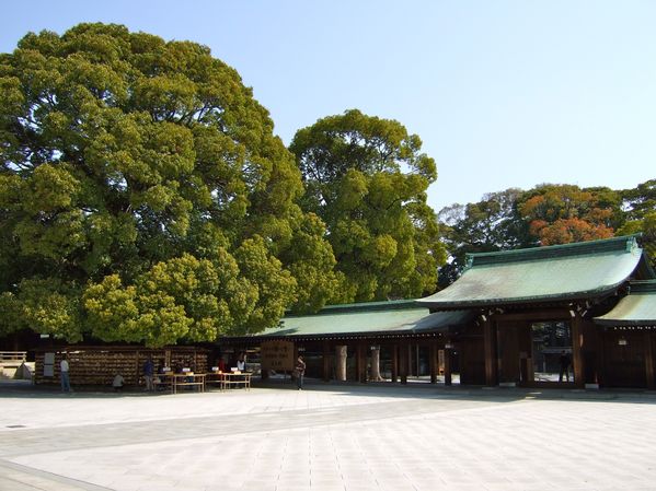 Meiji jingu 07 45