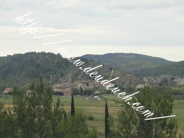 DSC07980