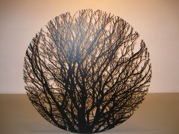 zadok 0773