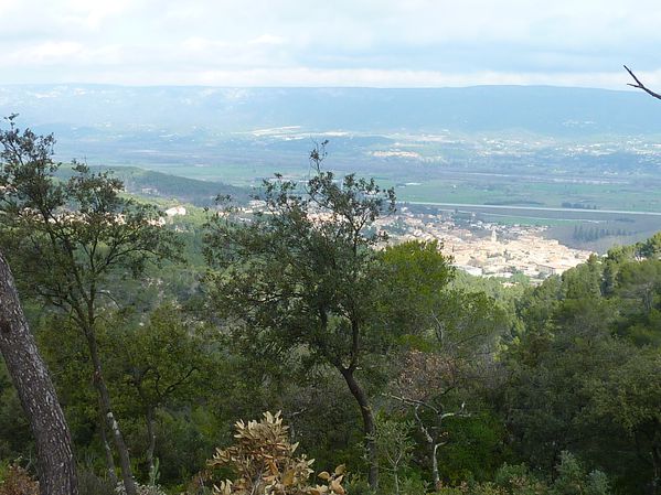 P1000800.JPG