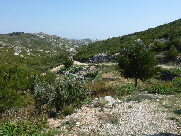 P1080744.JPG