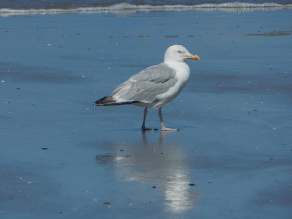 DSCN4984.jpg