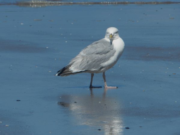 DSCN4987.JPG
