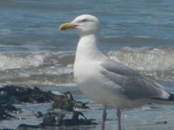 DSCN5023.jpg