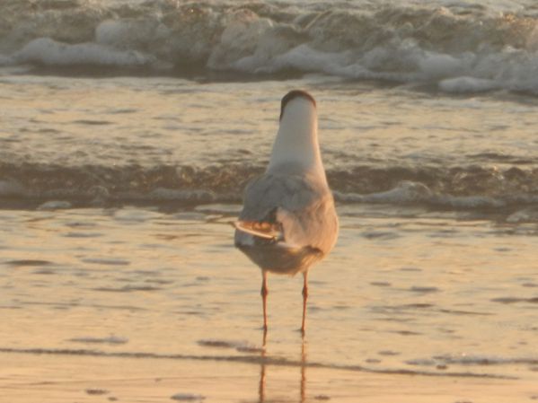 DSCN5177.JPG