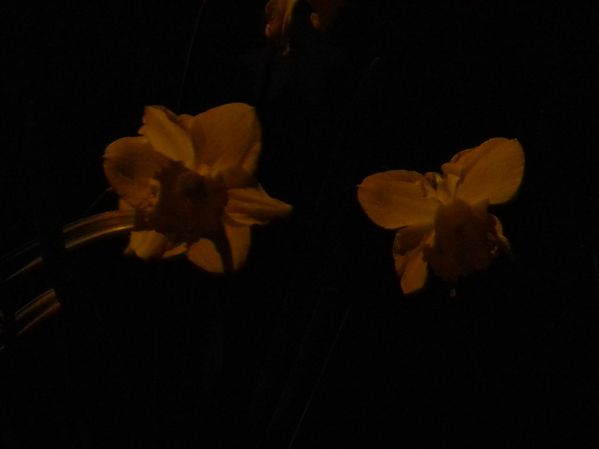 DSCN2677.JPG