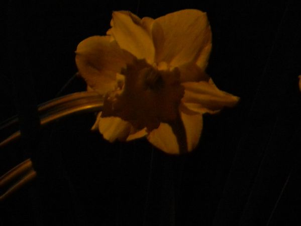 DSCN2679.JPG