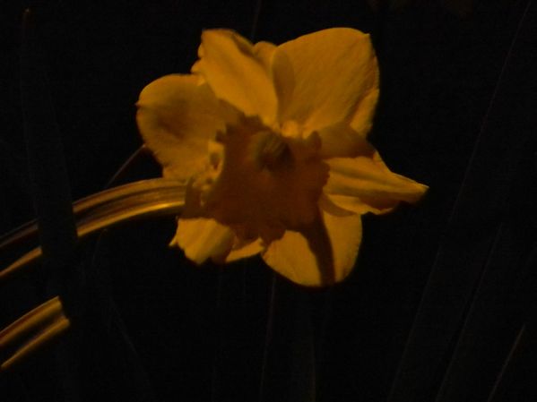 DSCN2681.JPG