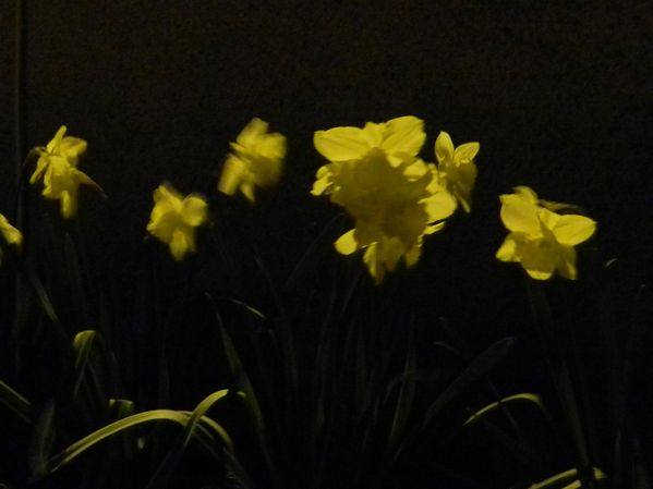 DSCN2686.JPG