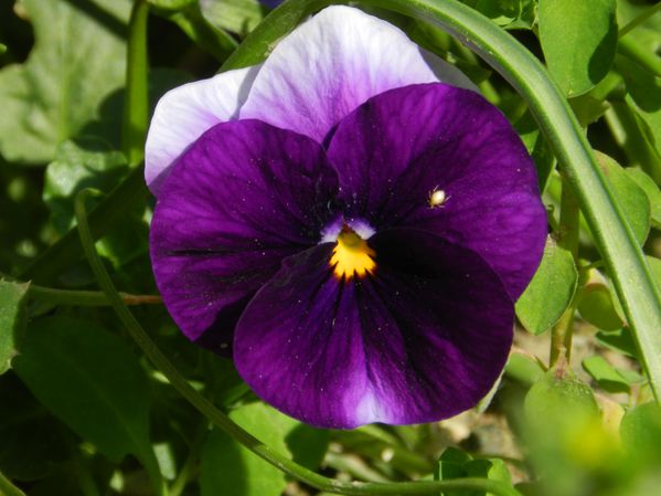 DSCN2881.JPG