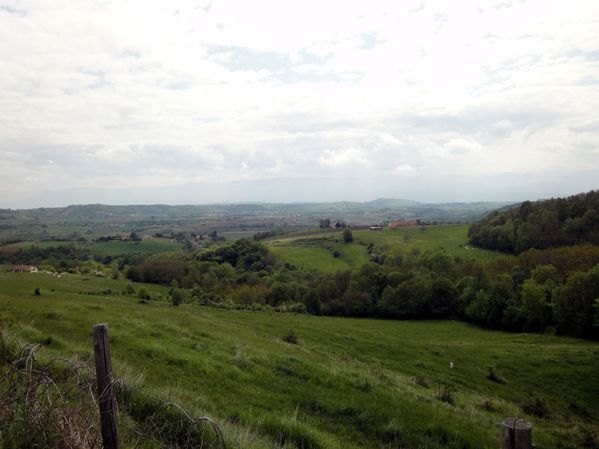 DSC00292.JPG