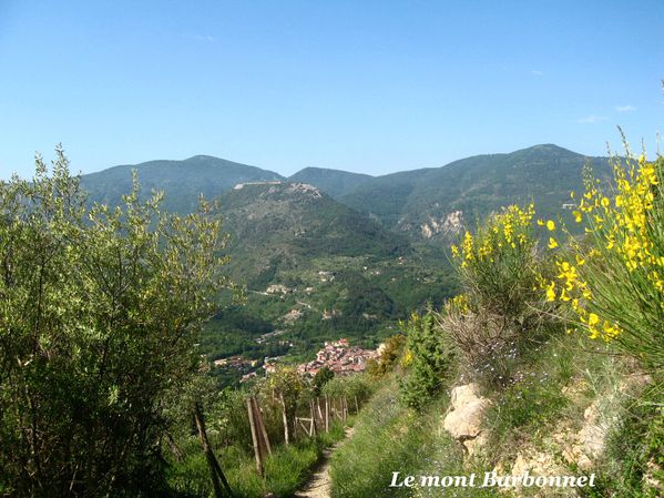 COL-DU-PERUS 3823