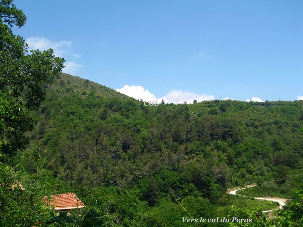 COL-DU-PERUS 3844