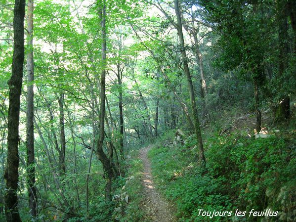 MONT-GRAZIAN 3126