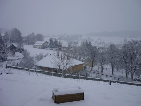 Neige du 18.12 003