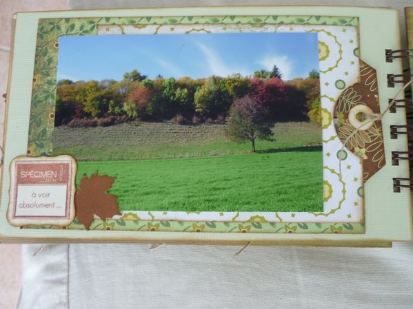 mini d'automne 016