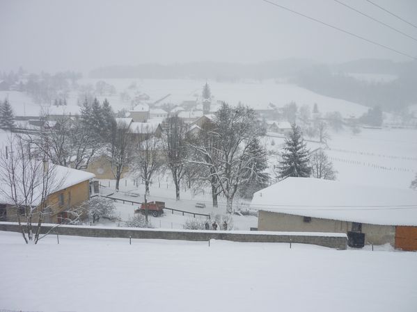 neige du 08 01 2010 010